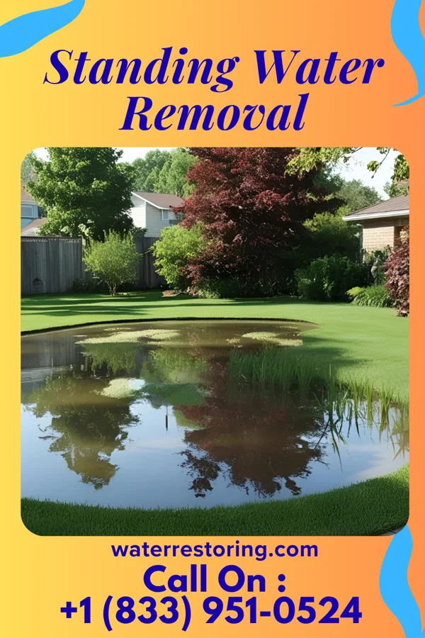 Standing Water Removal in Flint Hill, MO